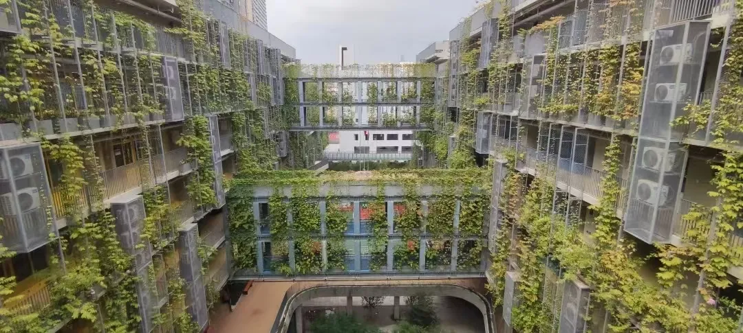 深圳国际交流学院