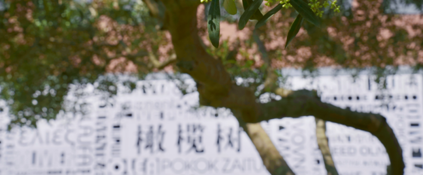 杭州橄榄树学校