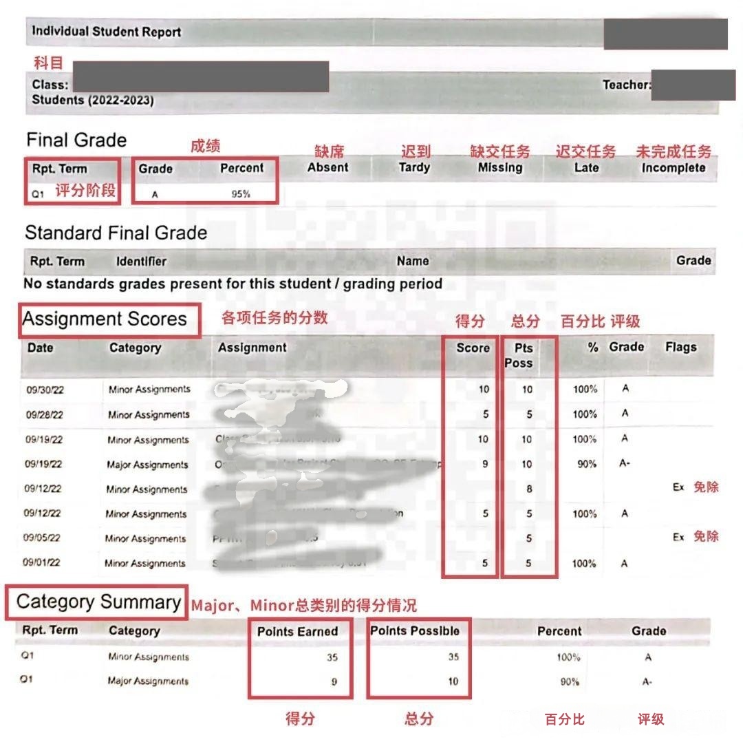 贝赛思学习报告