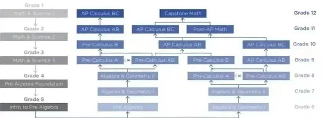 贝赛思分层教学模式图