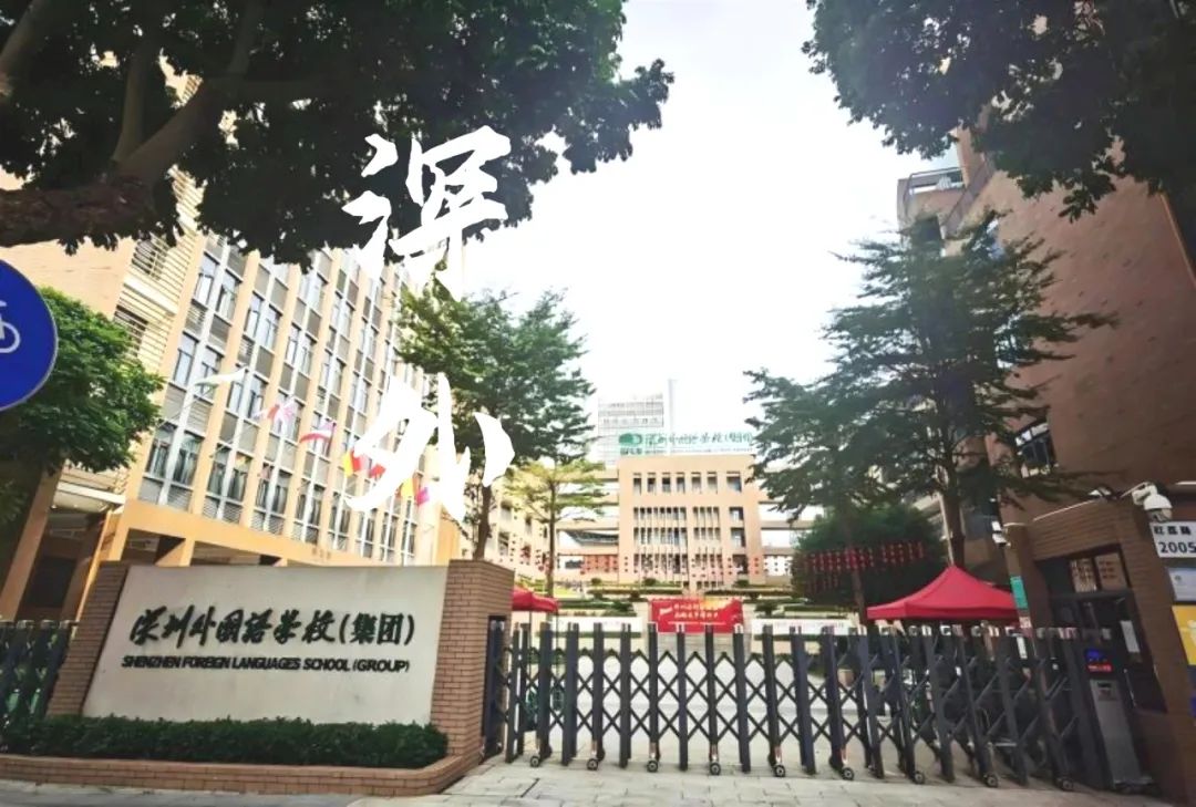 深外国际班